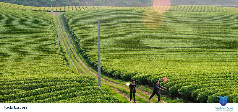 Mộc Châu - Điện Biên: Hành Trình Khám Phá Lịch Sử 4 Ngày 3 Đêm - Ảnh 1 Mộc Châu - Điện Biên: Hành Trình Khám Phá Lịch Sử 4 Ngày 3 Đêm - Ảnh 1